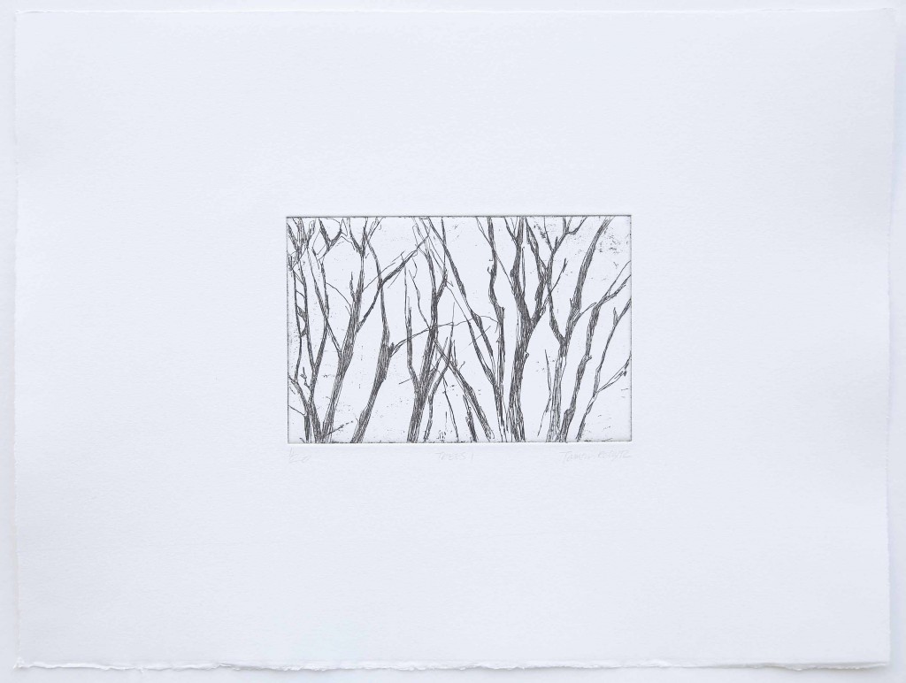 Trees I etching 2014