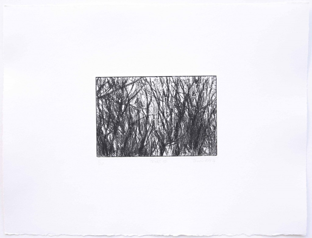 Trees_etching_2014